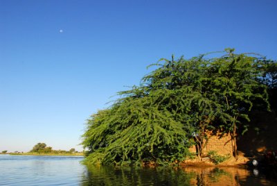 Niger River, Ayorou