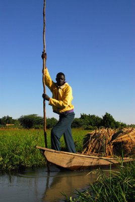 Man poling a pirogue, Niger
