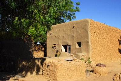 Island village by Ayorou, Niger