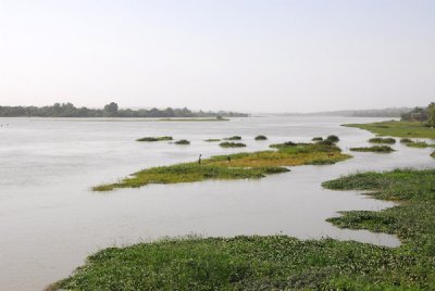 Niger River at Niamey