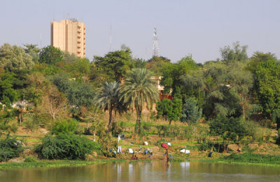 Banks of the Niger River, Niamey