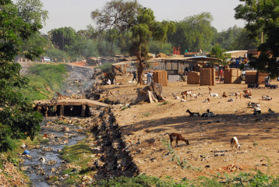 Garbage filled ditch, Niamey, Niger