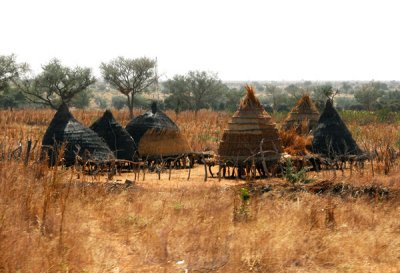 Yet another style of African granary, Niger