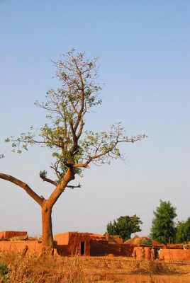 Village in SW Niger
