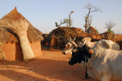 Village in SW Niger