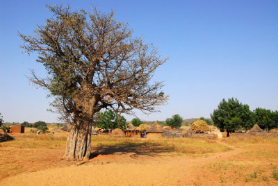 Village south of Malanville, Benin