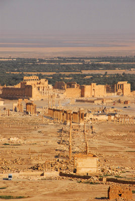 Main colonnade of Palmyra seen from the Castle