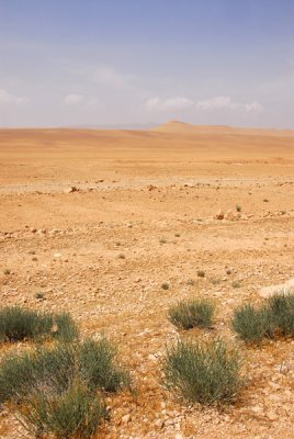 Syrian desert