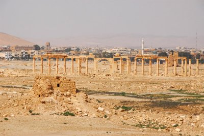 The first sighting of the main ruins at Palmyra