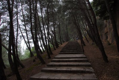 Steps climbing through the wooded hillside to the modern entrance to Saladin Castle