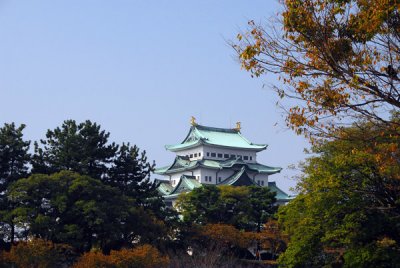 g6/93/329493/3/82753622.D8UgJS7O.jpg