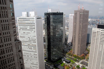 Nishi-shinjuku from Tokyo Metropolitan Government Offices