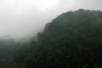 Rainy season (July) Doi Ang Khang