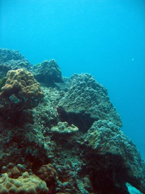 g6/93/329493/3/84745912.qRpyBOLu.jpg