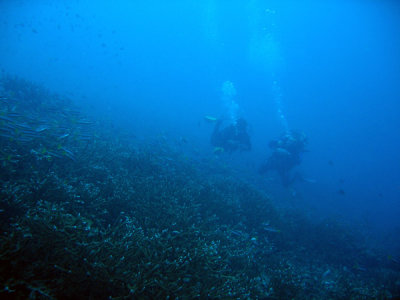 g6/93/329493/3/84745954.PzHkYWXk.jpg