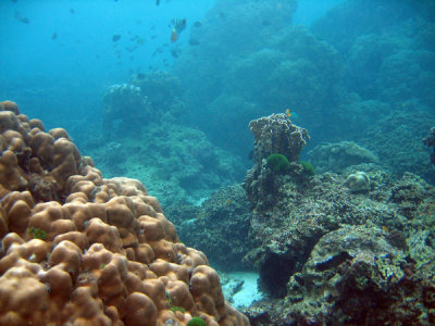 g6/93/329493/3/84746042.kbDxj11l.jpg