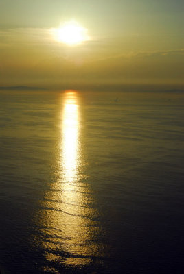 g6/93/329493/3/84781920.jxhSD8tp.jpg