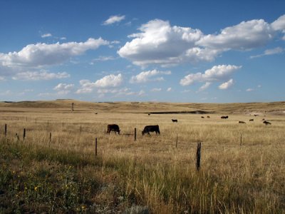 Great Plains