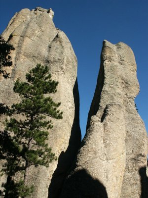 g6/93/329493/3/85022614.DUHByemq.jpg