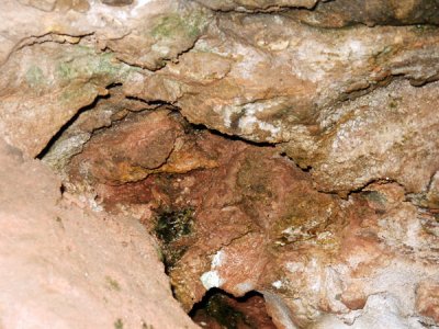 Wind Cave National Park, South Dakota