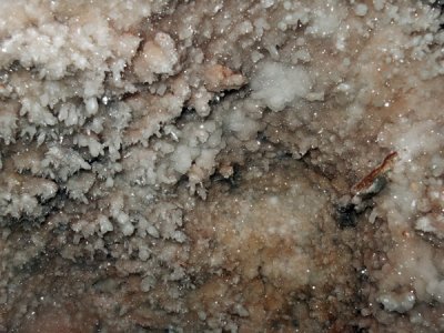 Wind Cave National Park, South Dakota