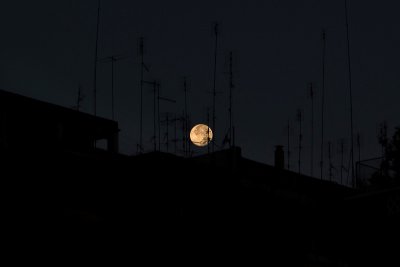 moonset in the city
