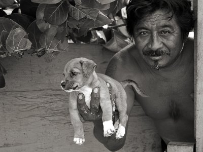 Puppy of Cozumel
