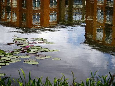 City pond