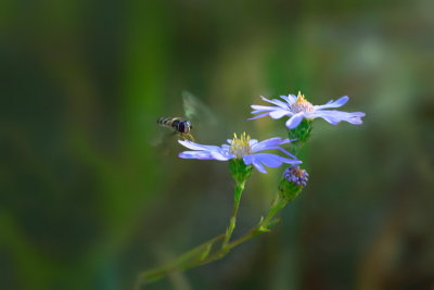 CRW_3074.5.jpg