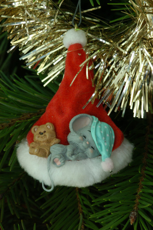 Mouse in hat