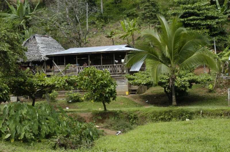 Typical village hut