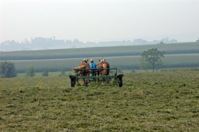 Hay raking