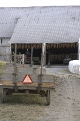 Amish Tobacco barn