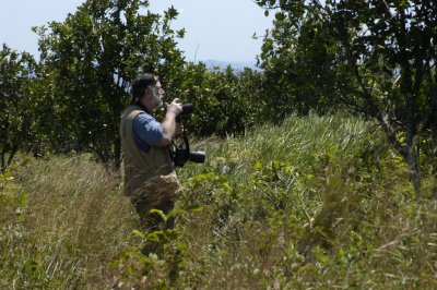 Robbie in the orange grove