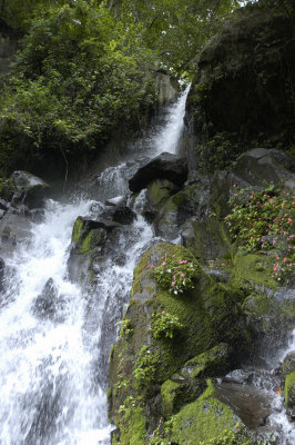 Soledad Stream falls