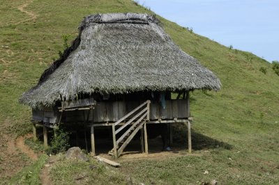Thatched hut