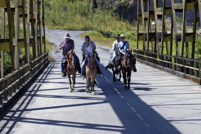 Scenic horseback ride through Boquete