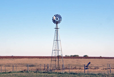 plenty of these in kansas