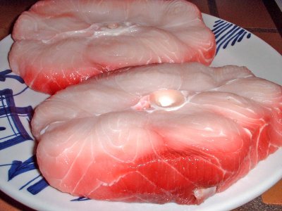 mako shark steaks