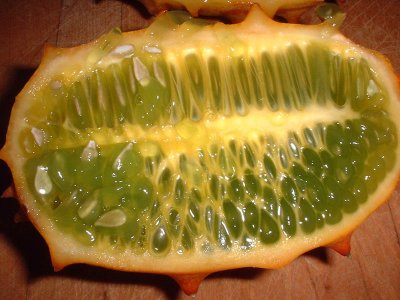 alien pod fruit
