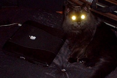 apple powered