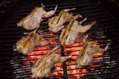 Grilled Quail