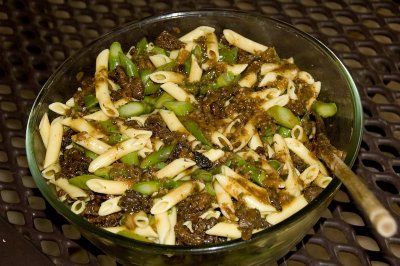 Morel Mushrooms and Asparagus with Penne