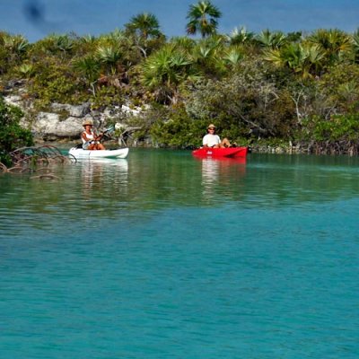 Jim and Ann kayaking through mangroves
