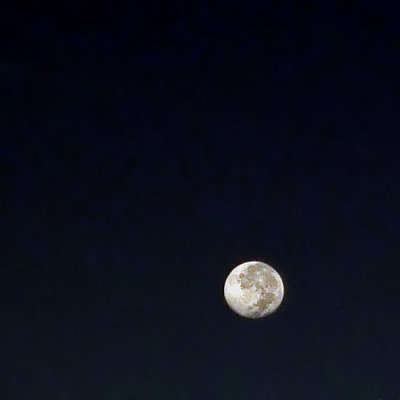 g6/93/44993/3/86358717.T3t4aRsW.jpg