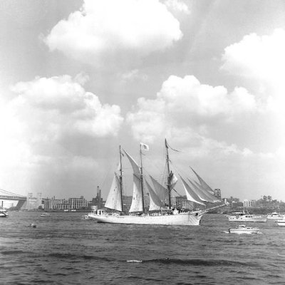 Gazella