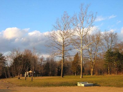 East from Cedar Road Lot