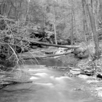 Creek - Ricketts Glen SP