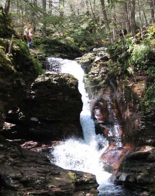 Lower Falls - Ricketts Glen