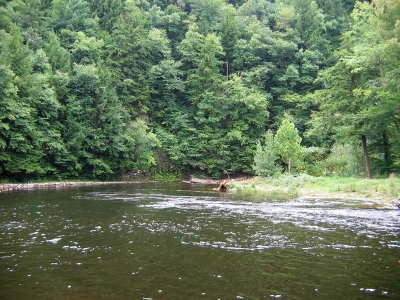 Loyalsock - East from Rte. 154